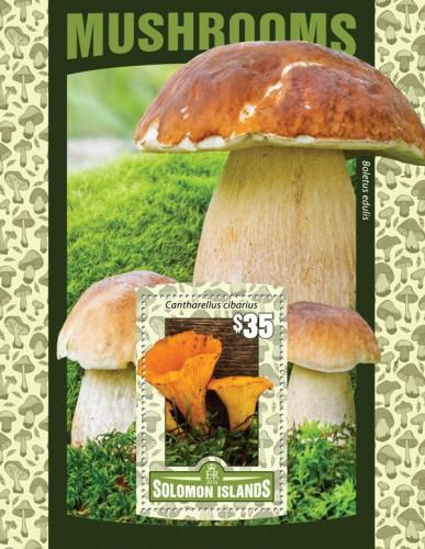 SOLOMON ISLANDS - 2016 - Mushrooms - Perf S/Sheet - MNH