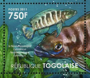 Ecosystem Tanganyika Lake Stamp Fish Tropheus Neolamprologus S/S MNH #4181-4184