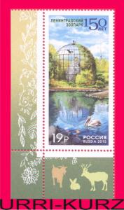 RUSSIA 2015 150th Anniversary of Leningrad Zoo Bird Pelican 1v Sc7662 Mi2203 MNH