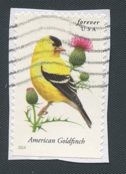 US Scott's # 4890 American Goldfinch - Bird - used - on paper