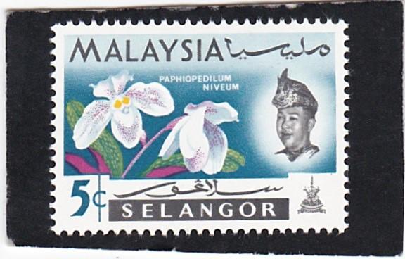 Malaysia,   Selangor   #  123