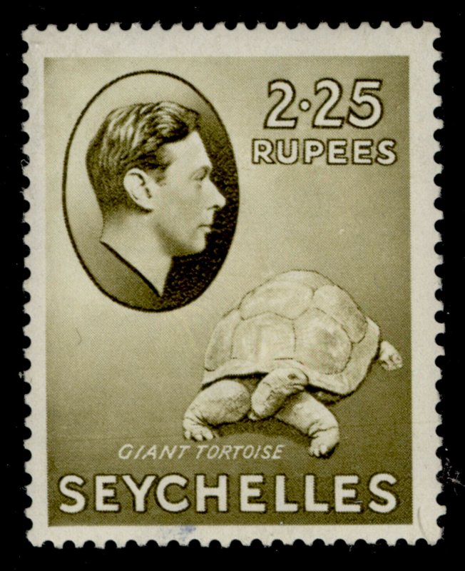 SEYCHELLES GVI SG148, 2r 25c olive, M MINT. Cat £75. CHALKY