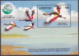 1993 Lesotho 1013/B97 Birds 6,50 €