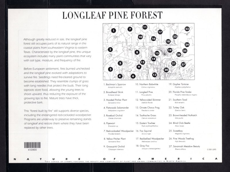 US 3611,  Pane of 10, XF,  MNH,  Longleaf Pine Forest,  CV $19.00 ...... 6786112