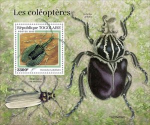 Togo - 2022 Violin Beetle on Stamps - Stamp Souvenir Sheet - TG220418b2