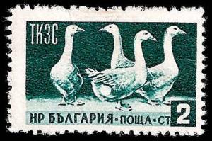 Used Box World Wide Scan 808