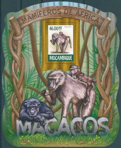 Mozambique 2015 MNH Wild Animals Stamps Monkeys Chacma Baboons 1v S/S II