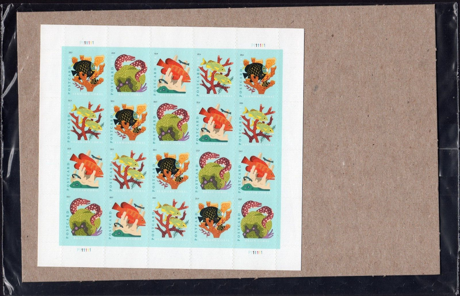 USPS Seashells Postcard Stamps Sheet of 20