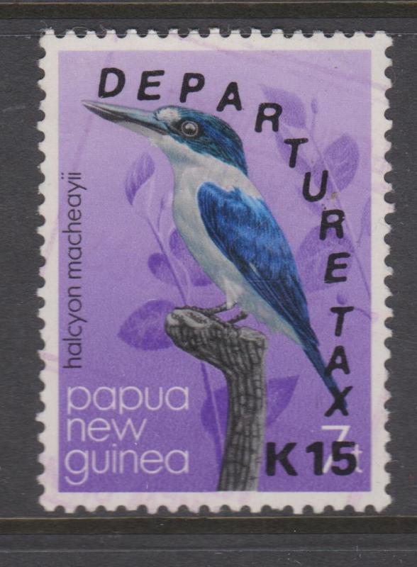 Papua New Guinea 1991 Departure Tax Revenue Used