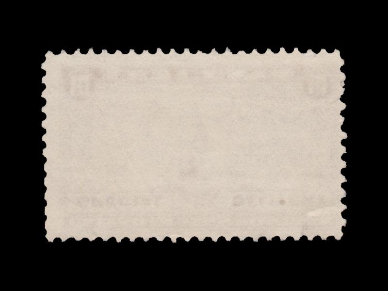 United States Special Delivery Stamp 1927 - 31. Scott # E15. Item 6