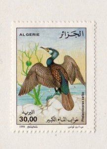 Algeria stamp #1136, MNG, topical, Birds