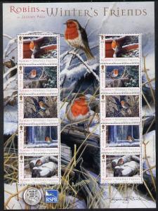 Isle of Man 2004 Robins - Winter\'s friends perf sheetlet...