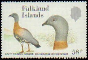 Falkland Islands #477-480  Mint Never Hinged Complete Set, 1988, Birds, Never...