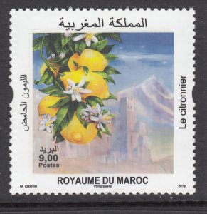 Morocco 1268 MNH VF