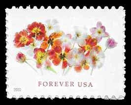 PCBstamps  US #5681 {58c}Tulips Stamps, MNH, (14)