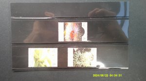 Cayman Islands 1987 SeaLife Re-Issue Scott# 562a-573a complete MNH XF