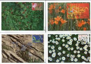 Netherlands 1994 Wild Flowers Plant Flora Sc 853-56 Set of 3v + M/s Max Cards...