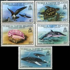 TURKS & CAICOS 1979 - Scott# 380-4 Marine Life Set of 5 NH