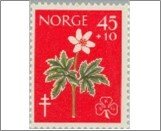 Norway NK 479 Tuberculosis Relief Fund- Flowers 45 Øre Multicolor