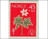 Norway Used NK 479   Tuberculosis Relief Fund- Flowers 45 Øre Multicolor