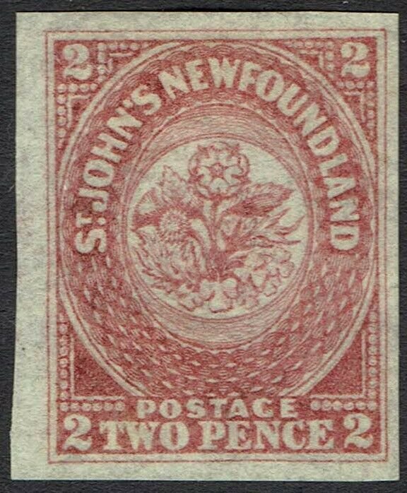 NEWFOUNDLAND 1862 FLOWERS 2D 