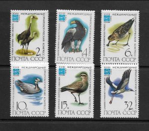 BIRDS - RUSSIA #5050-5    MNH