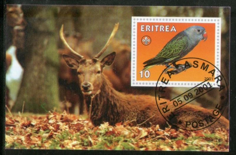 Eritrea 2001 Deer Stag Parrot Wild Life Bird Fauna M/s Cancelled # 3886