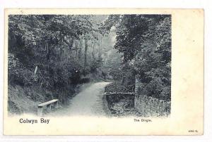 GB WALES Postcard COLWYN BAY *The Dingle* UNDIVIDED BACK {samwells} 1904 BG39