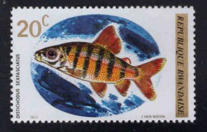 RWANDA Scott 541 Unused Fish stamp