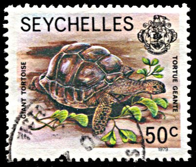 Seychelles 394a, used, Giant Tortoise, '1979'