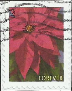 # 4816 USED POINSETTIA