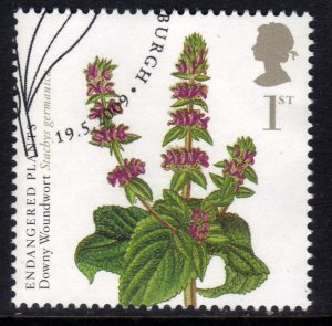 GB 2009 QE2 1st Action Species Plants Downy Woundwort Ex Fdc SG 2936 ( E522 )