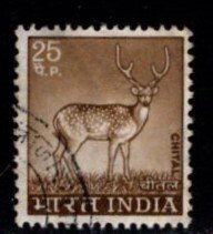 India - #623 Chital Deer - Used