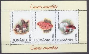 2003 Romania 5757-5759/B333 Mushrooms 6,00 €