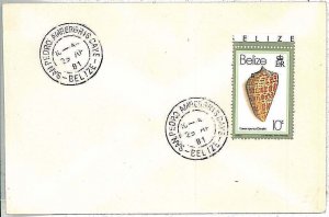 28682 - BELIZE - Postal History - COVER from San Pedro Ambergris Caye 1981 SHELL