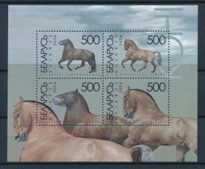 [57776] Belarus 2004 Horses MNH Sheet