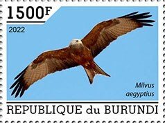 BURUNDI - 2022 - Bird of Prey - Perf Single Stamp - Mint Never Hinged