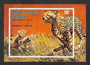 SD)1974 EQUATORIAL GUINEA POSTCARD PROTECTION OF NATURE