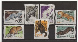 Russia 1967 Fur Bearing Animals set of 7 sg.3452-8   MNH