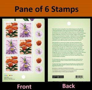 Canada Wildflowers P pane 6 MNH 2023