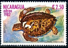 Turtle, Nicaragua stamp SC#C1034 MNH