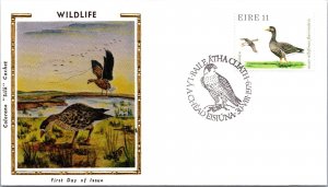 Ireland FDC 1979 - Wildlife Ge' Fhionn - Baile Atha Cliath - F64375