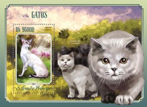 SAO TOME - 2014 - Cats - Perf Souv Sheet - Mint Never Hinged