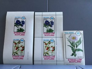 Holy Island  Scotland Flowers plants Aster Sibiricus  MNH stamps  R24125