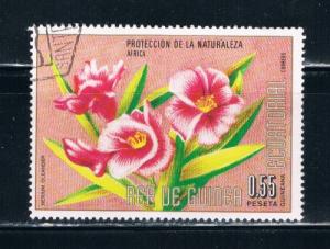 Equatorial Guinea Used Flower Nerium Oleander (E0035)+