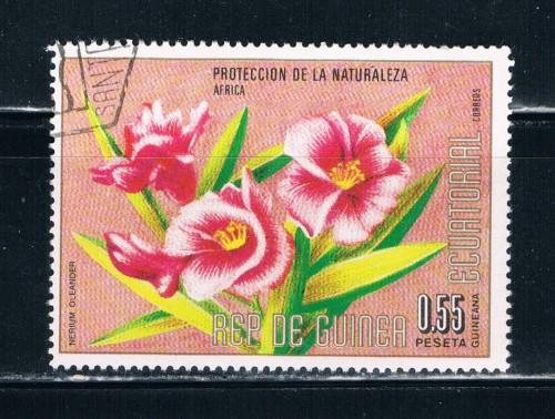 Equatorial Guinea Used Flower Nerium Oleander (E0035)