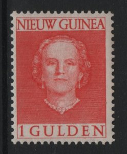 Netherlands New Guinea   #19  MNH 1952  Juliana   1g