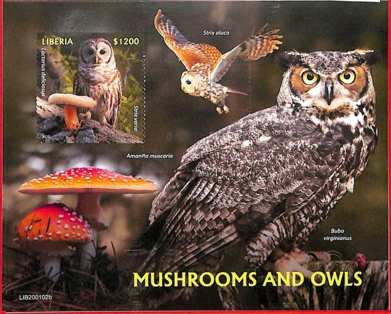 A2007 - LIBERIA, ERROR: IMPERF, SOUVENIR SHEET - 2020, Owls, Birds, Mushrooms 