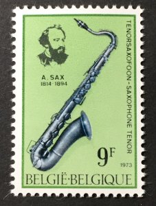 Belgium 1973 #847, MNH, CV $.60