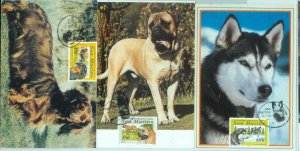 83604 - SAN MARINO - Postal History - set of 3 MAXIMUM CARD - Animals DOG  1994